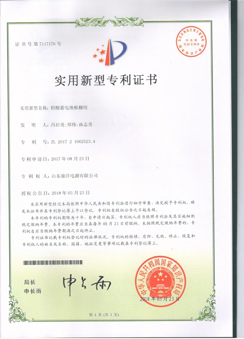 Patent certificate 10